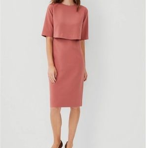 Ann Taylor Overlay Sheath Dress